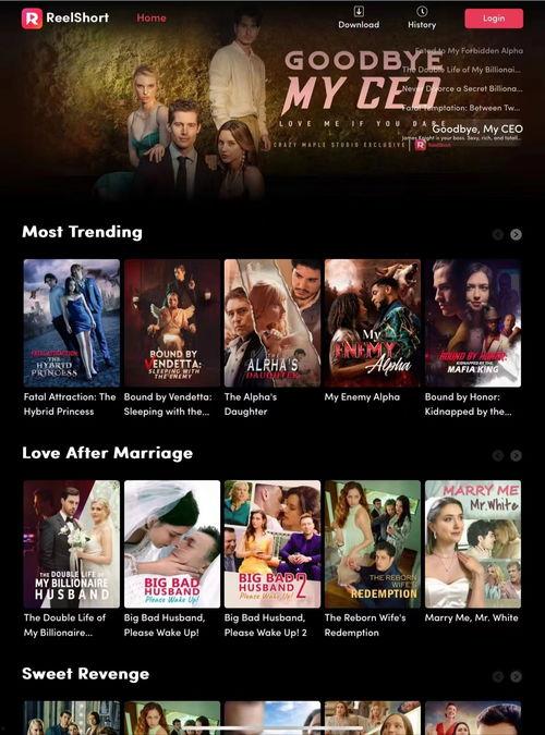 国产中文版在线看中文版,畅享本土影视盛宴