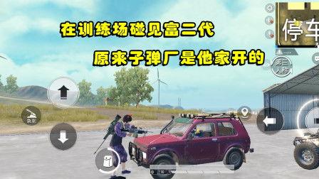 国产富二代骑虎在线视频,国产短视频展现另类奢华生活